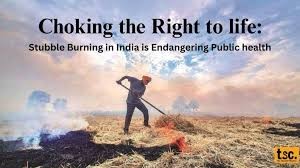 Stubble burning goes against the right to live in a pollution free space Max IAS