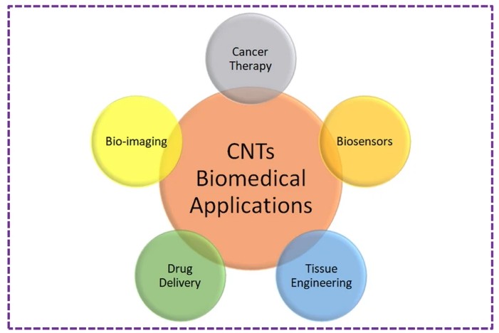 Carbon Nanotubes Uses Max IAS