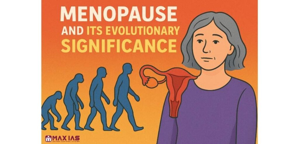 Menopause and its evolutionary significance Max IAS
