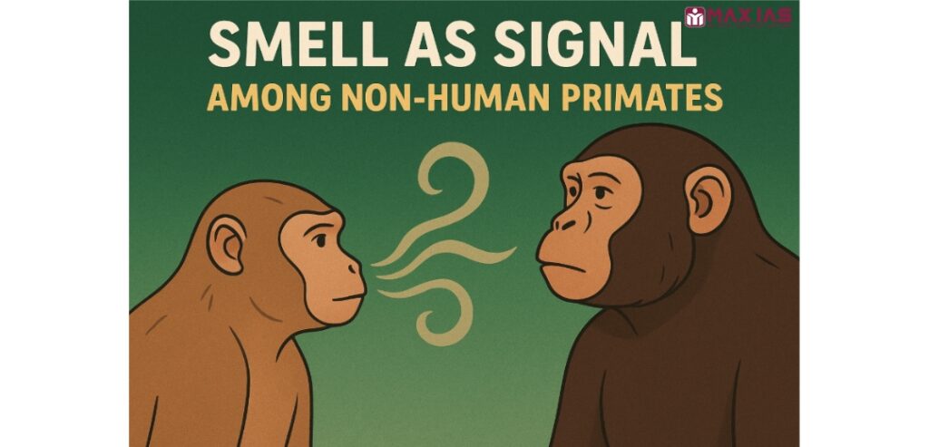 Smell as a signal among non human primates Max IAS